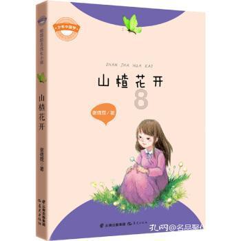 我的世界记忆卡