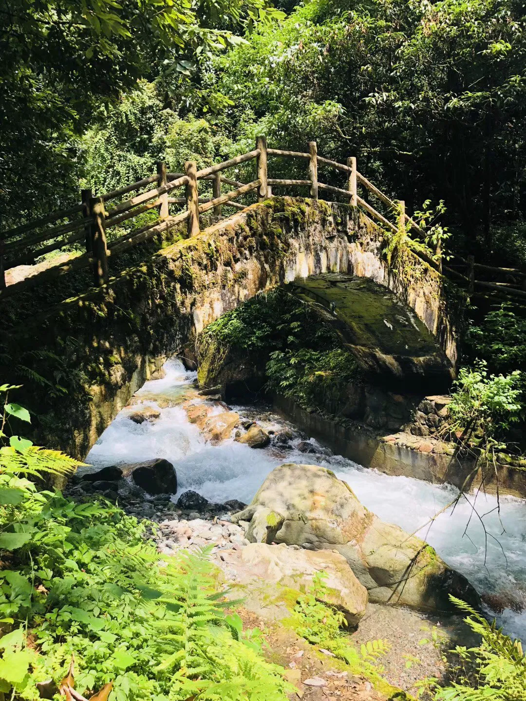 植物大战僵尸7